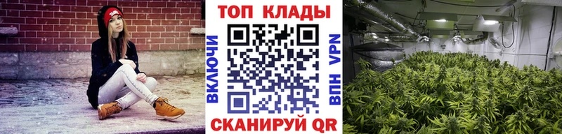 Гашиш Богучар