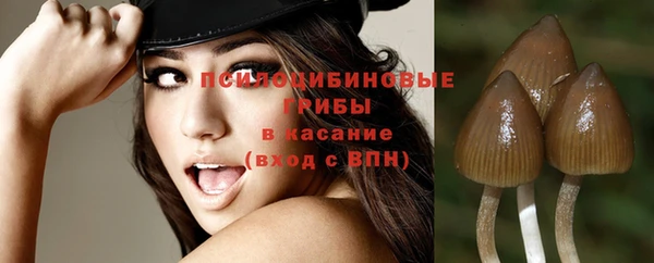 мяу мяу мука Алексин