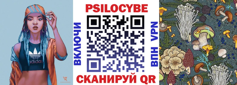 Псилоцибиновые грибы прущие грибы  где купить наркоту  Богучар 